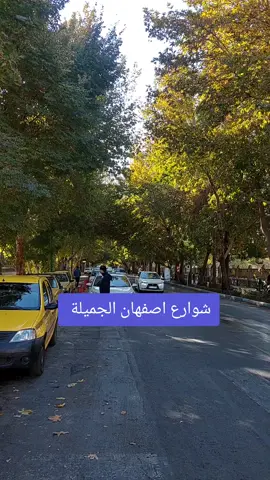 #اصفهان_ايران #ايران_اصفهان_شارع_جهار_باغ #حيدر_زنكنة #شركة_الروان_للسفر_والسياحة #ايران🇮🇷 