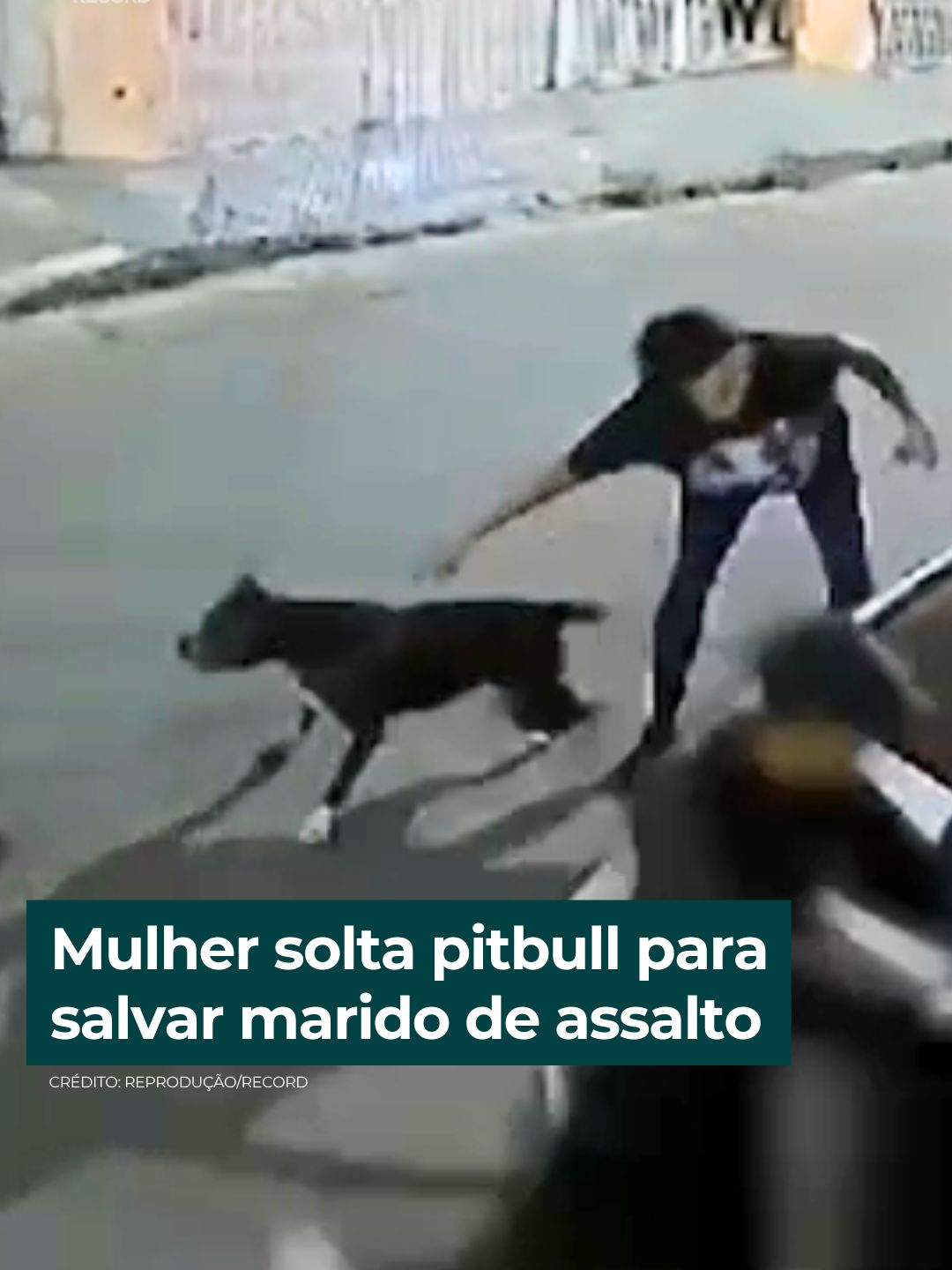 As imagens de câmeras de segurança registraram um livramento inusitado: uma mulher estava abrindo o portão de sua casa, quando percebeu que dois homens estavam tentando roubar o carro de seu marido.  Assustada com a situação, Dona Maria foi até a garagem da casa e buscou sua cachorra. Ao soltar o animal em frente ao carro, a pitbull logo identificou os criminosos e os perseguiu até metade da rua, quando desistiram do roubo. A equipe do #DomingoEspetacular entrevistou a família e deu todos os detalhes deste caso. Para assistir à reportagem completa, acesse: https://record.r7.com/domingo-espetacular/