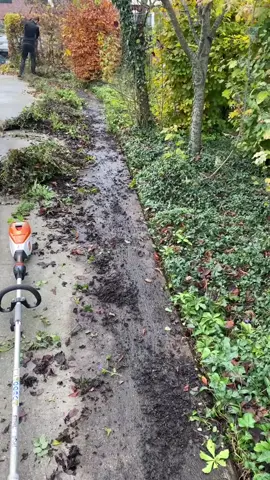 Stihl rotary scissors of the battery combi system via @Poelonline #hovenier #fyp #stihl 