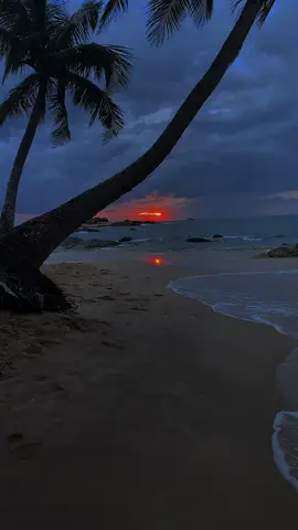 හවසට මුහුදු වෙරළට ගිහින් අහසයි මුහුදයි දිහා බලාගෙන ඉද්දී දැනෙන ඒ හැඟීම 🥺🦋🌊 පිස්සුවක්.! #wairal__video #trendingvideo #tiktokviral #viral #beruwala #beautiful #kechchimaleberuwala #vairal_video_tiktok #beach #sunset 