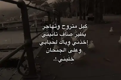 گَِبل متروح وتهَاجر.  .  .  . #باسم_الكربلائي_عشق  #foryou #اهل_البيت_عليهم_سلام 