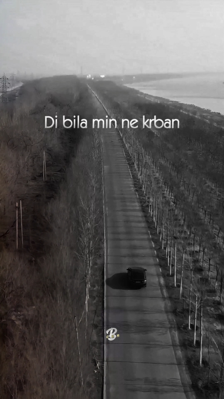 #videomontage #♡ #تصميم_فيديوهات🎶 #fypシ @Haval Ibrahim 