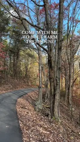 Such a fun, relaxing girls trip! @Bolt Farm Treehouse  You can use my code: CHELSEA for a $150 resort credit! #boltfarmtreehouse #uniquestays #luxuryresort #sparesort #girlstrip #reset