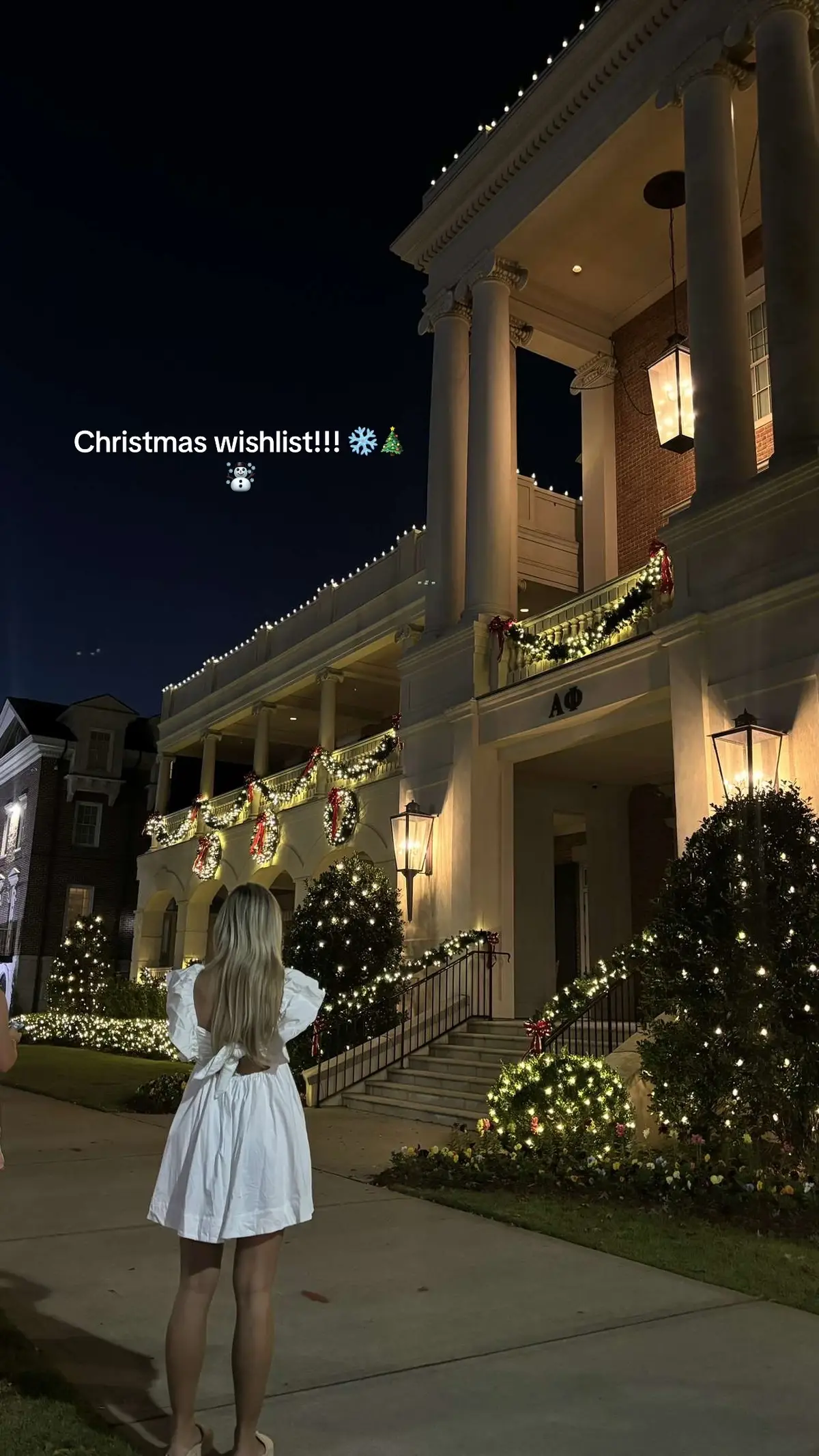Can it come sooner 🤭🎄🎄#christmaswishlist #christmas #fyp 