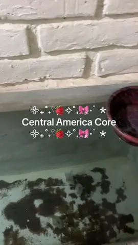 #fyp #centralamerica 