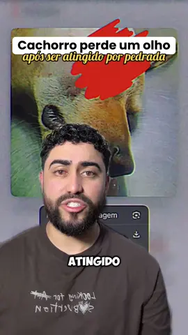 Cachorro, carinhosamente chamado de branquinho 