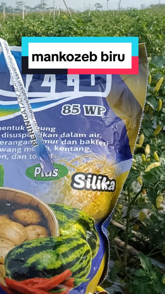 mankozeb biru fungisida pengendali jamur #mankozeb #mankozebbiru 