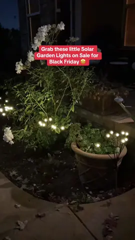 Solar Garden Lights are perfect all year round or to add to your outdoor Christmas Decorations ✨ #solargardenlight #solarlights #fairylights #gardenlights #christmaslights #fireflylights #tiktokshopfinds #tiktokshopblackfriday #tiktokshopcybermonday #christmasdecorating 