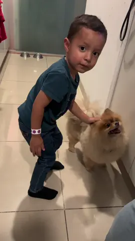 #jacinto las estupidas ideas de #manelyk_oficial 