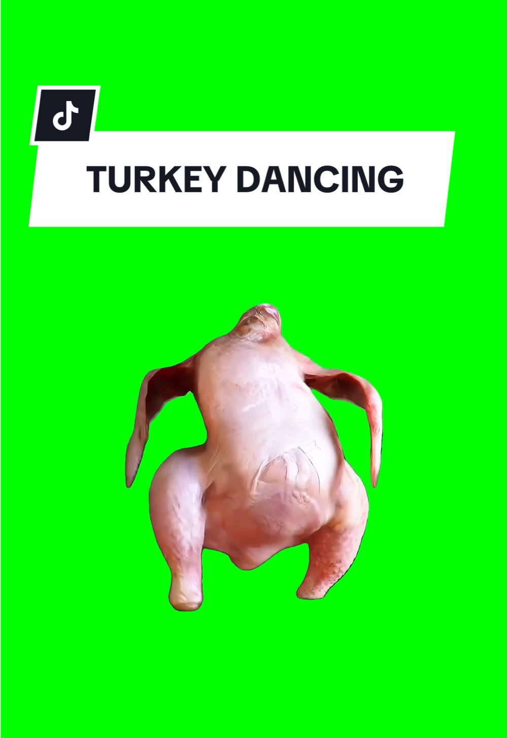 #CapCut TURKEY DANCING. #greenscreen #greenscreenvideo #greenscreenoverlays #fyp #fypシ #fyppage #fypシ❤️💞❤️ #meme #memes #memestagram #freefirememe #memepage #viral #viralvideos #viralreels #viralvideo #viralpost #meme2024 #trend #trendy #trending #trendingreels #trendtiktok #trendingtiktok #trendy #viralmeme #turkey #thanksandgiving 