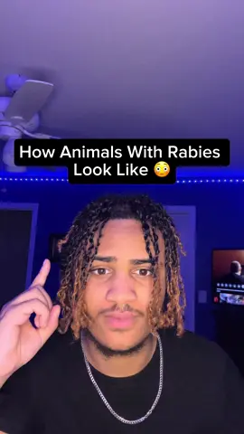 How Animals With Rabies Look Like 😳 #fyp #scary #animals #wildlife #sad #creepy #crazy #viral #interesting 