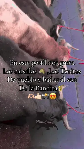 #regalameun❤ #torosdepueblo #taurinos_de_corazón♥️🐂 #fypシ゚viral🖤tiktok #vidabonita #viviz #📸 #💙🥀🦋 