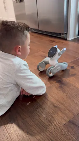 Meet @LoonaRobot , the ultimate interactive robot pet! 🐾 #loonapartner Save an extra $5 on top of their Black Friday discounts at the link in my bio now until Dec.02!  From playing endless games, recognizing faces, chatting about so many topics and so much more, she’s way more than your average pet. With ChatGPT onboard, Loona keeps the kids entertained, learning, and laughing. Loona is a great addition to any family!💫 #loona #loonapetbot #lunarobot #airobot #momhack 