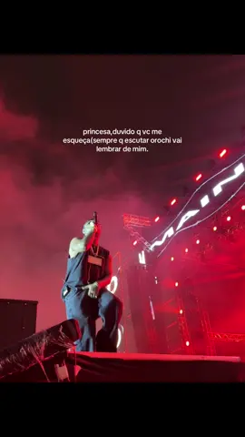 meu amor❤️#orochi #mainstreetfestival #flavio #chiro #foryour #fyp #viral #entregatiktok 