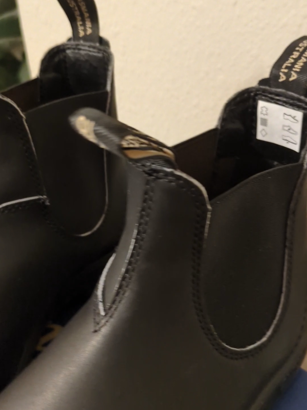 they were so beautiful, I couldn't resist 😩 #blundstones #shoes #boots #winterfashion #plussizefashion #plussizeboots #blundstoneboots #plussizetiktok #unboxing #unboxingvideo 