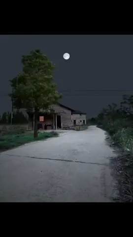 #🍃annhiên🍃 #nhongayxuaay #hoainiem #canhqueyenbinh #quehuong #ngayxua 