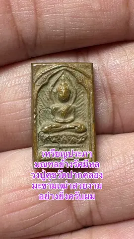 เหรียญประภามณฑลข้างรัศมีหลวงปู่ศุขวัดปากคลองมะขามเฒ่าสวยงามอย่างยิ่งครับผม#พระเครื่อง 