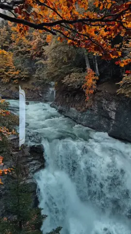 #ستوريات #حالات_واتس #اذكار_المسلم #اذكار #ذكرالله #صباح_الخير 