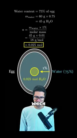 Egg in microwave math. #math #maths #mathematics #Science #stem #facts #interesting #interestingfacts #edutainment #smartereveryday #technology 