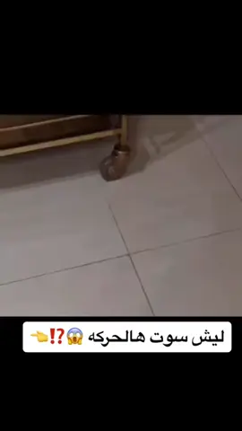 ضيفوني سناب 👻 v5-r 👻 رابط البايو بدخلكم سنابي حياكم الجميع  #دعمكم_ورفعولي_فديو #سنابي_بالبايو🤍حياكم_ضيفوني💦 #في #داعميني_ومتابعيني_اكسبلور #في هذا اليوم 