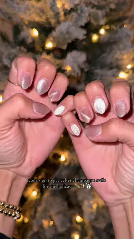 I’m officially obsessed with velvet nails 💅🏽 #nails #nailinspo #holidaynails #christmasnails #velvetnails #neutralnails #winter #winternails #winteraesthetic 