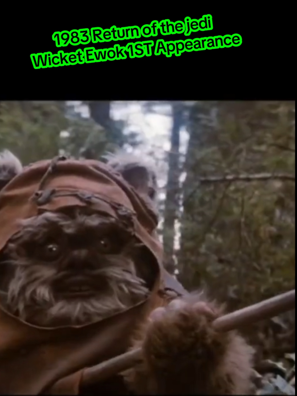 1983 Return Of The Jedi  #ewok #jedi #princessleia #1983 #starwars #wicket #leia 