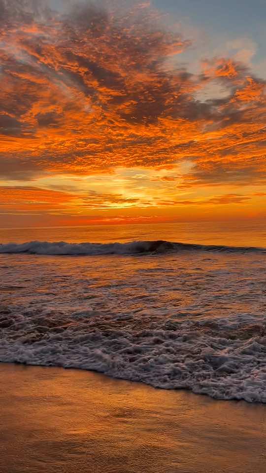 dear jersey shore, ily❤️🫶🏼