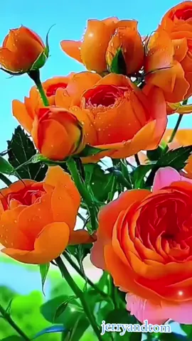 #အဆင့်အတန်းဆိုတာ #လူတယောက်ရဲ့နုတ်ထွက်စကားပဲ #ဒီချိန်တင်ရင်viwerမတတ်မှန်းသိတယ်🙂 #အငုံ့စိတ်ကသိပ့်ကြောက်စရာကောင်းတယ်👍👍👍👍👍 