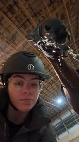 she nods bc she agrees #equestrian #horsesoftiktok #mare #hunterjumper 