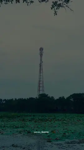 @ mention 🥹💗 ! #sakura_quotes_ #foryoupage #foryou #fyp #1m #whatsappstatus #aesthetic #vedeography #pageforyou #tranding #adminforyou #statusvideo 