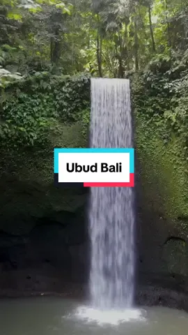 Ubud Bali waterfalls! #ubud #bali #indonesia #travel #traveltiktok #travelvlog #vacation #waterfall 