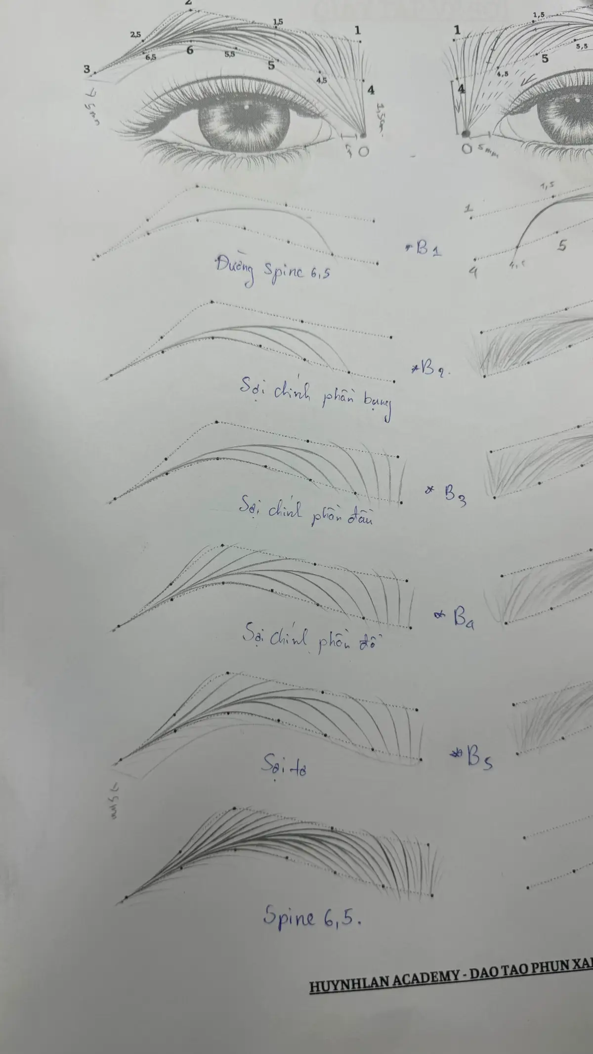 Các bước vẽ sợi Spine 6,5 mày nữ #họcphunxamthammy #sợihairstrokes #huynhphunxam 