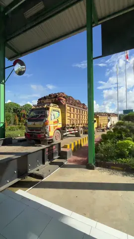 Senin #kranitimbangsawitfyp #fyp #timbangansawit #truksawit 