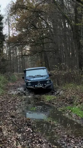 Wild walk 🌅🐗🐶 #mercedesg #gclass #gelendwagen #offroad #offroad4x4 #gelenda #mercedes #forest #sunset 
