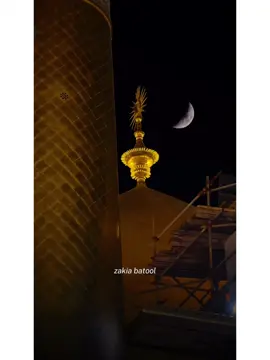 Ya Ali(a) Madad🤌🏻❤️‍🔥 @Shiagirl 2.0 👈🏻follow #shiagirl6 #shiastatus #shia #karbala #molaali #poetry #trending #sound #foryoupage #standwithkashmir #viralvideo #fyp #tiktok #viewsproblem #500k @TiktokPakistanOfficial #goviral 