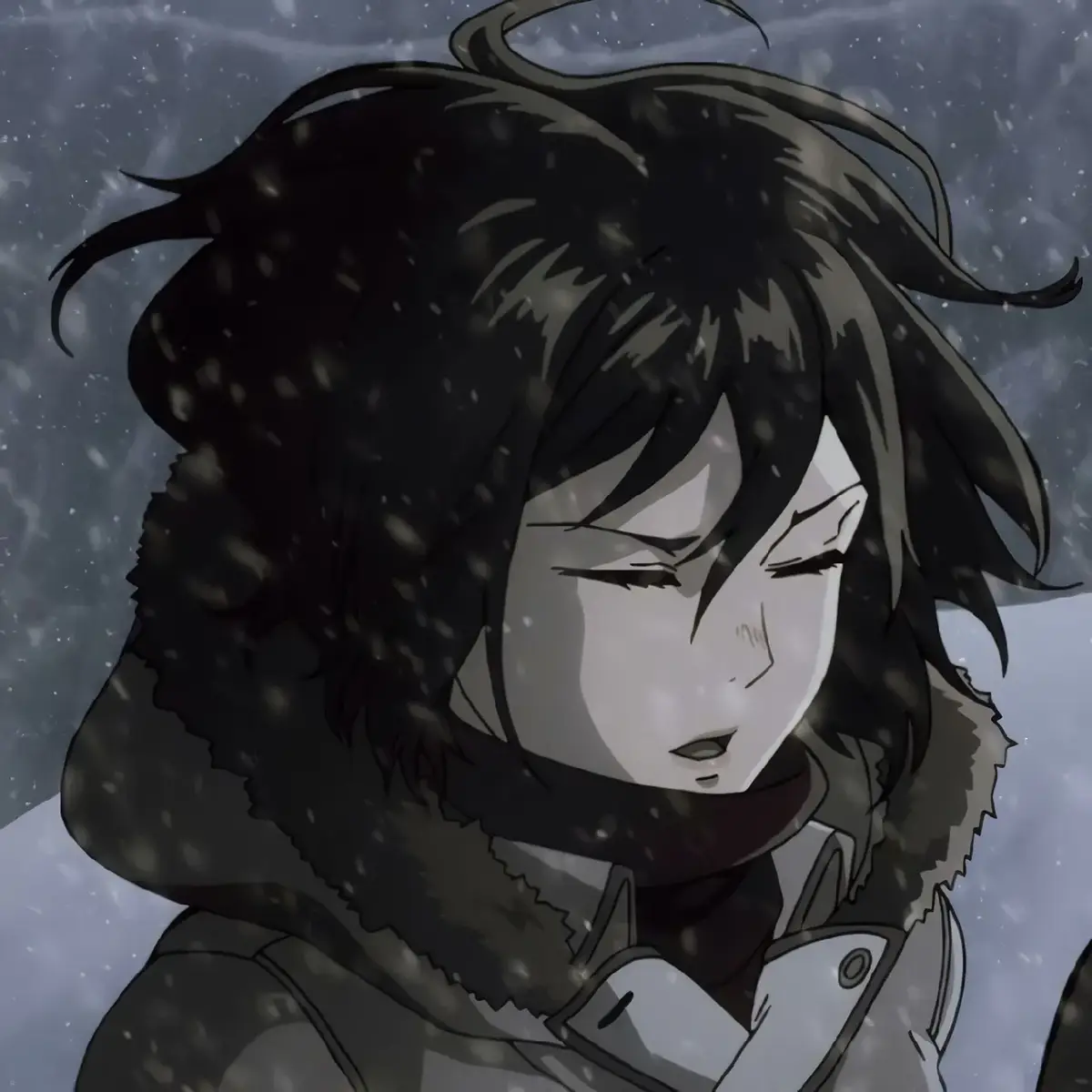 #fyp #4u #ppanime #pfps4u #ppcouple  #AttackOnTitan #eren #erenjaeger #mikasa #mikasaackerman 