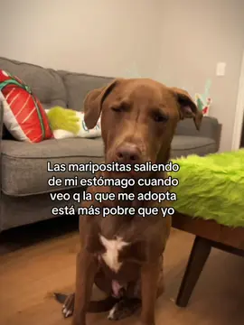 Hay coco sorry :( jajaja 