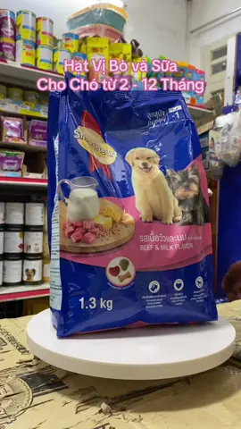 #smartheart #chihuahua #thucanchomeo #poodle #hatchocho #corgi #becgie 