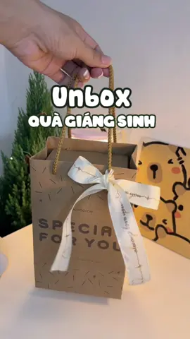 Quà tặng không thể thiếu Giáng Sinh #tiktok 