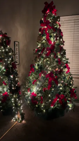 Night views ❤️🎄 #christmasdecor #christmaslights #twinkletrees 