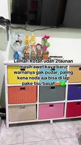 Lemari rotan 9 laci awet kokoh dan estetik #TikTokCreatorSearchInsightsIncentive #lemarirotan #lemaritv #cuantanpabatas #wibgajian #belilokal 