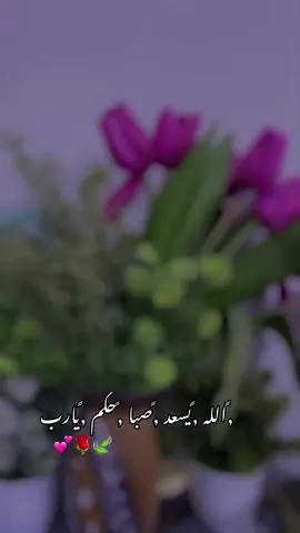 #كسسسسسسبلوور♡✿🌹✔🕊 #🌹🌹🌹🌹🌹🌹🌹🌹🌹🌹🌹🌹🌹🌹🌹 