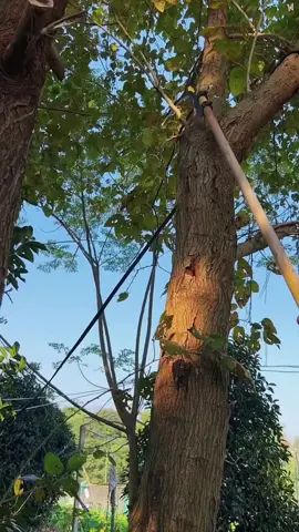 #dụngcụnôngnghịêp Liềm gắn cán, dụng cụ hữu ích cho nhà nông