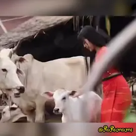 အယ်.. :')) #Myanmar #myanmartiktok #foryoupage #H2H #foryou #fyp #meme #funny #burmese #comedyvideo #laugh #funnyvideos #funnymoments #edit #edits #editor #ctto #ml #MLB