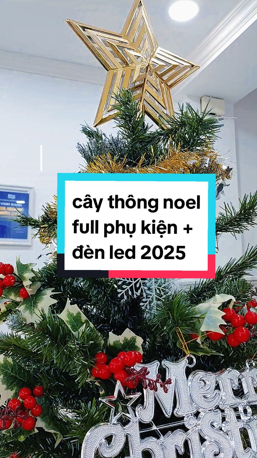 cây thông noen 2025 giá đang hời cả nhà ơi #caythongnoel #giangsinh #moinguoi #giare #merrychristmas 
