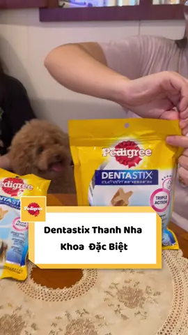 Trải nghiệm bánh xương cùng Pedigree #pedigree #dentastix #marspetcare #cún #thucung #pet #xuhuong #chamsocrangmieng 