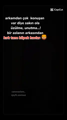 good morning 🤩@🦁 Can Yıldırım 🦁 @canalfyedek #canyıldırım #fyb #keşfetedüş #acilkeşfetecıkar #teamalf 