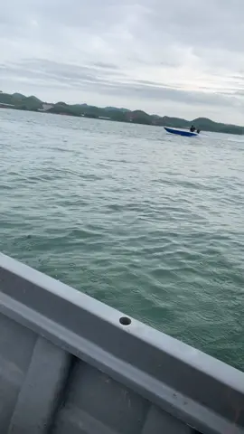 Biệt đội săn hàng #cauca 