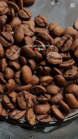 ❤️✨#اكسبلور #اكسبلووووووووووووووووووووورر #اكسبلوووووووور #صباحيات#فطور #فطوري#كارب_سايكل #الشعب_الصيني_ماله_حل😂😂 #تصويري📸اكسبلوور #فلوقات_تيك_توك #فلوقاتي #فلوقاتي_اللطيفة☁️🌱 #باريستا 