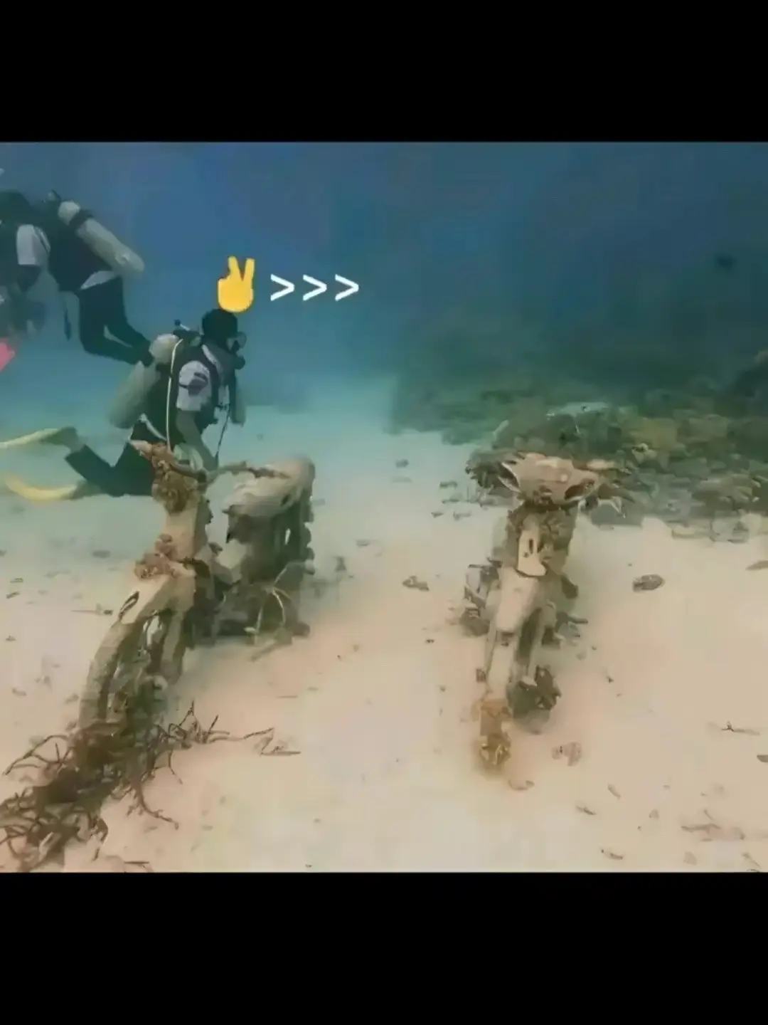 @𝙇𝙊𝙍𝘿.𝙎𝙄𝙅𝙊👑 #astreagrandindonesia #fizr #masukberandafyp #foryoupage #fypシ 